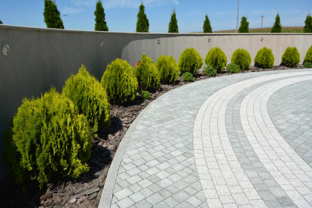 Reliable Friendship Heights Village, MD Driveway Pavers Solutions